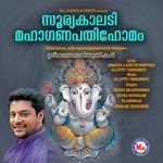 Kumaranelloor