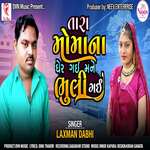 Tara Moma Na Gher Gai Mane Bhuli Gai