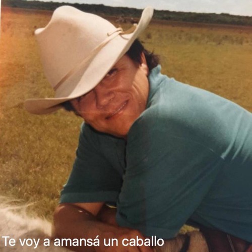 Te Voy a Amansá un Caballo_poster_image