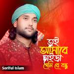 Tui Amare Saira Geli Re Bondhu