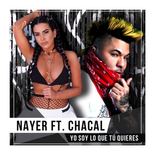 Yo Soy Lo Que Tu Quieres (feat. Chacal)_poster_image