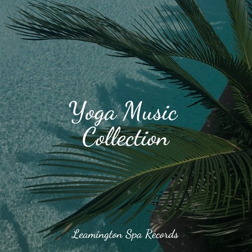 Yoga Music Collection