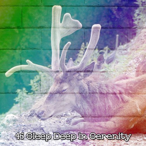 46 Sleep Deep in Serenity_poster_image