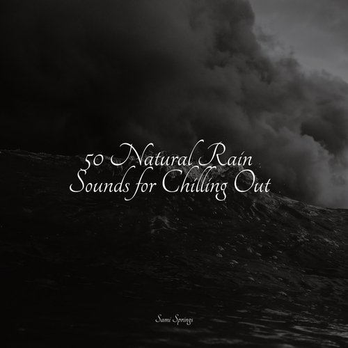 Rain, Storm and Thunder cover art