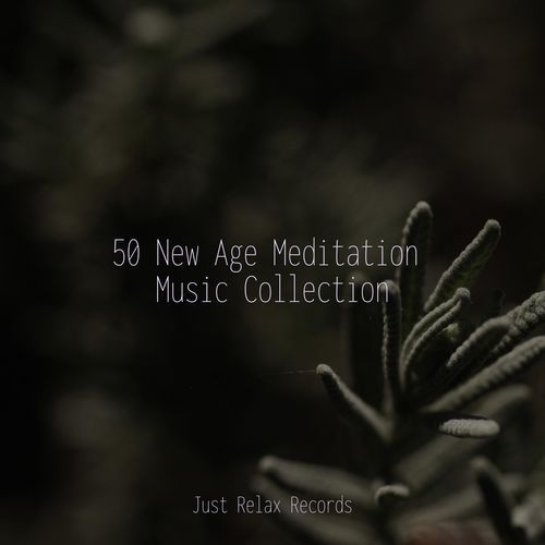 50 New Age Meditation Music Collection