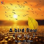 A Bird Flew