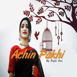 Achin Pakhi