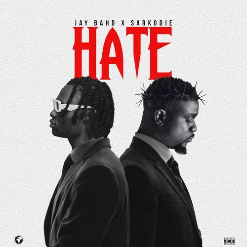 Hate_poster_image