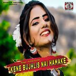 Kene Bujhlis Nai Hamake