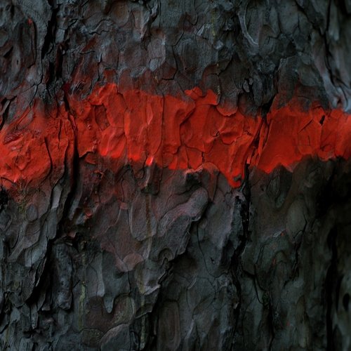 Саван cover art