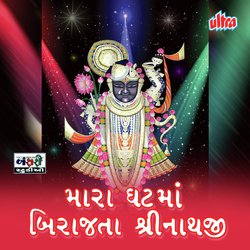 Mara Ghatma Birajata Shrinathaji-GxIlQzp,XgM