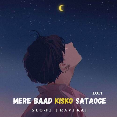 Mere Baad Kisko Sataoge (LOFI)_poster_image