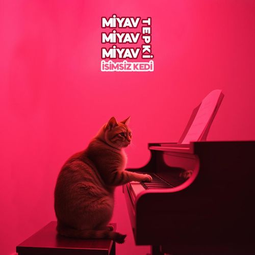 Miyav Miyav Miyav (Tepki) cover art