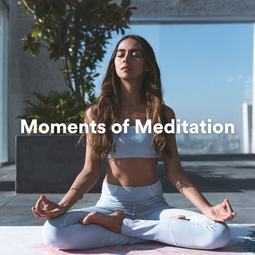 Moments of Meditation_poster_image