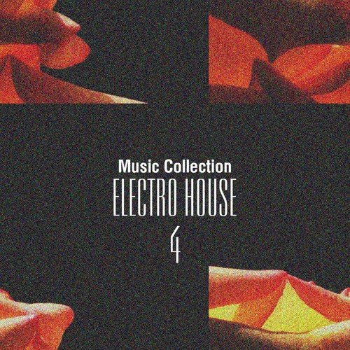Music Collection. Electro House, Vol. 4