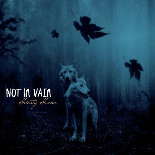 Not In Vain cover art