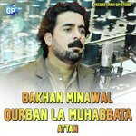 Qurban La Muhabbata Attan