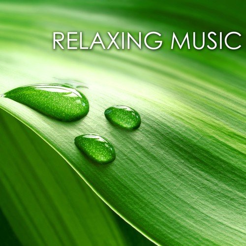 Relieve Stress (Harp Music)