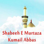 Shabeeh E Murtaza