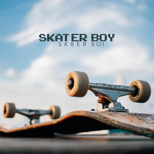 Skater Boy_poster_image