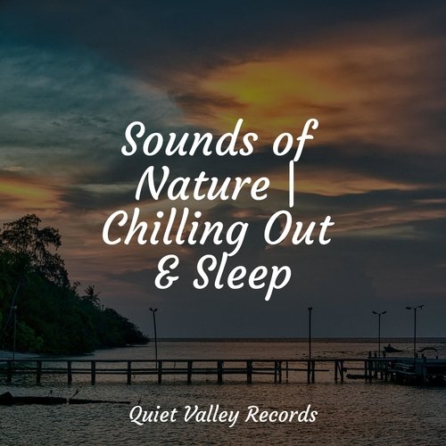 Sounds of Nature | Chilling Out & Sleep