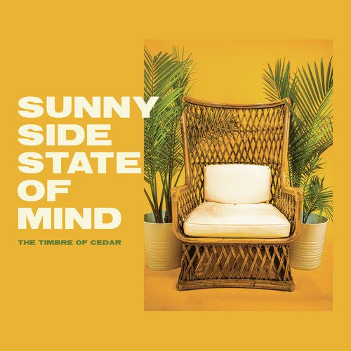 Sunny Side Up cover art