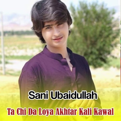 Zama Pa Zhra Ki Armanona De