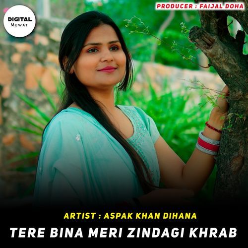 Tere Bina Meri Zindagi Khrab