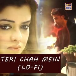 Teri Chah Mein (Lo-Fi)-MyoxfDZ9bXU