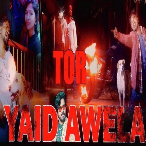 Tor Yaid Awela