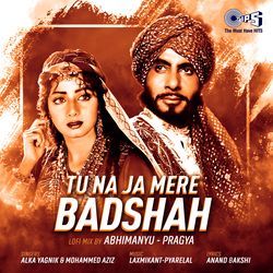 Tu Na Ja Mere Badshah (Lofi Mix)