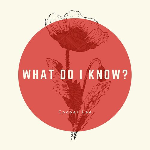 What Do I Know?_poster_image