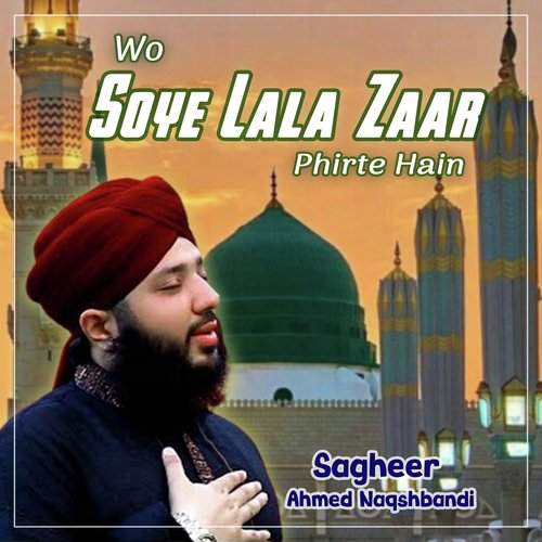 Wo Soye Lala Zaar Phirte Hain - Single_poster_image