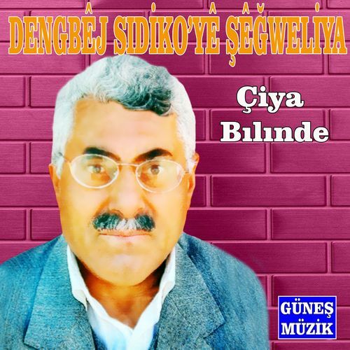 Dilber Heyran cover art