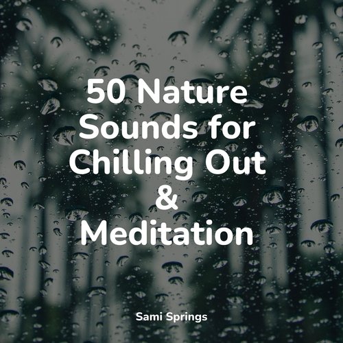 50 Nature Sounds for Chilling Out & Meditation