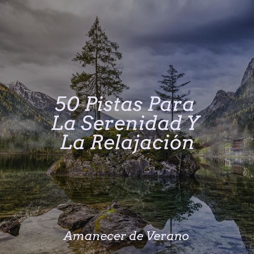 50 Pistas Para La Serenidad Y La Relajación