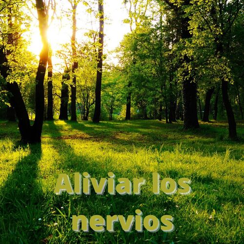 Aliviar Los Nervios_poster_image