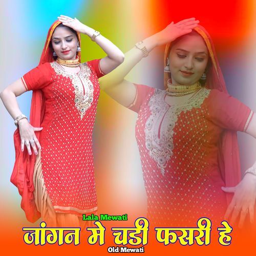 जांगन मे चडी फसरी हे ओल्ड मेवाती