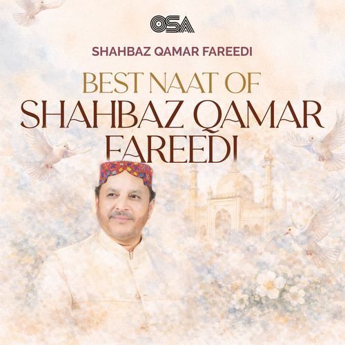 Naat-e-Sarkar Ki Parta Hoon Mein cover art