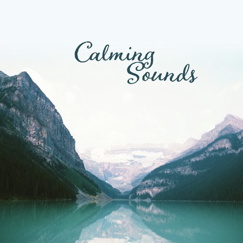 Sleeping Lullabies cover art