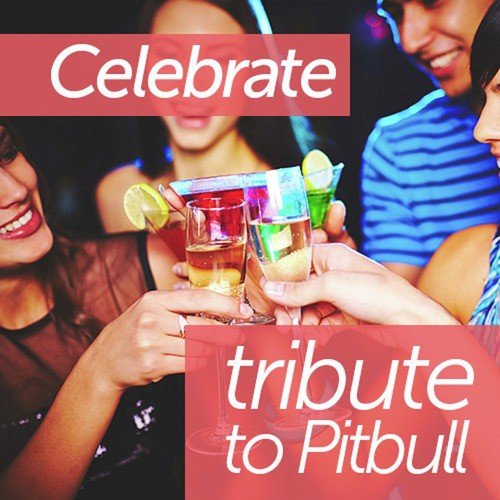 Celebrate: Tribute to Pitbull