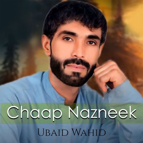 Chaap Nazneek