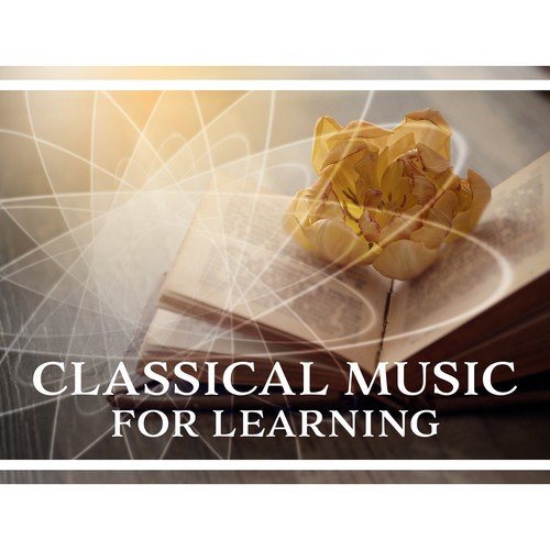 Classical Music for Learning - Relaxing Piano Music for Better Focus and Effective Learning, Music for Reading, Study