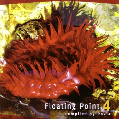 Floating Point 4