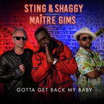 Gotta Get Back My Baby