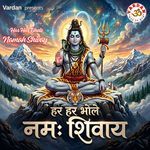 Har Har Bhole Namah Shivay