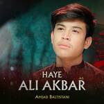 Haye Ali Akbar (A.S)