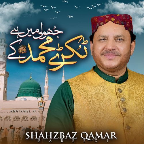 Jholi Mein Hai Tukre Muhammad Ke