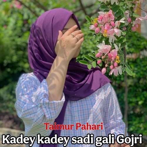 Kadey kadey sadi gali Gojri