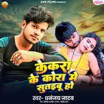 Kekara Ke Kora Me Sutailu Ho